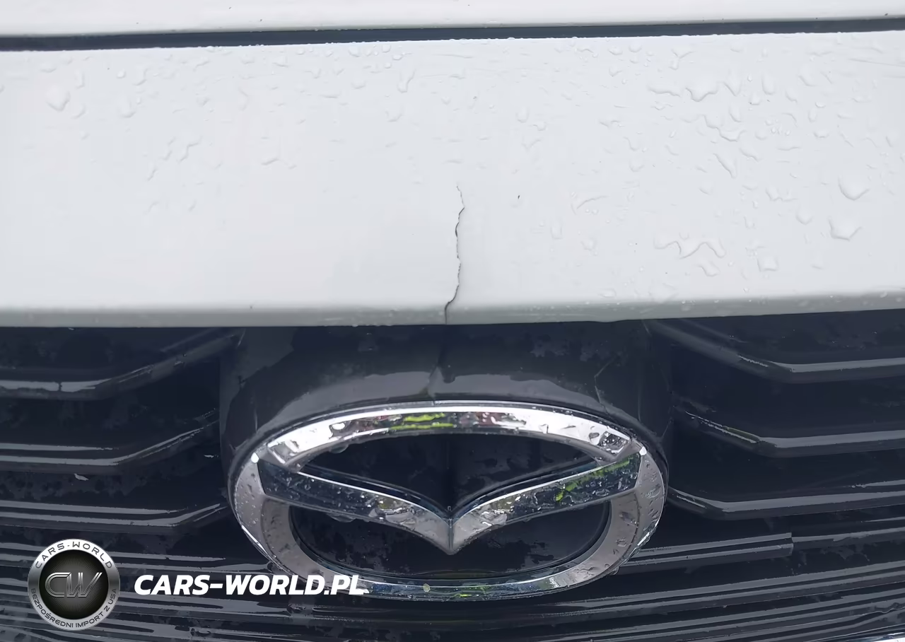 2016 Mazda Cx-3 Touring VIN:JM1DKBC73G0124354 - 6