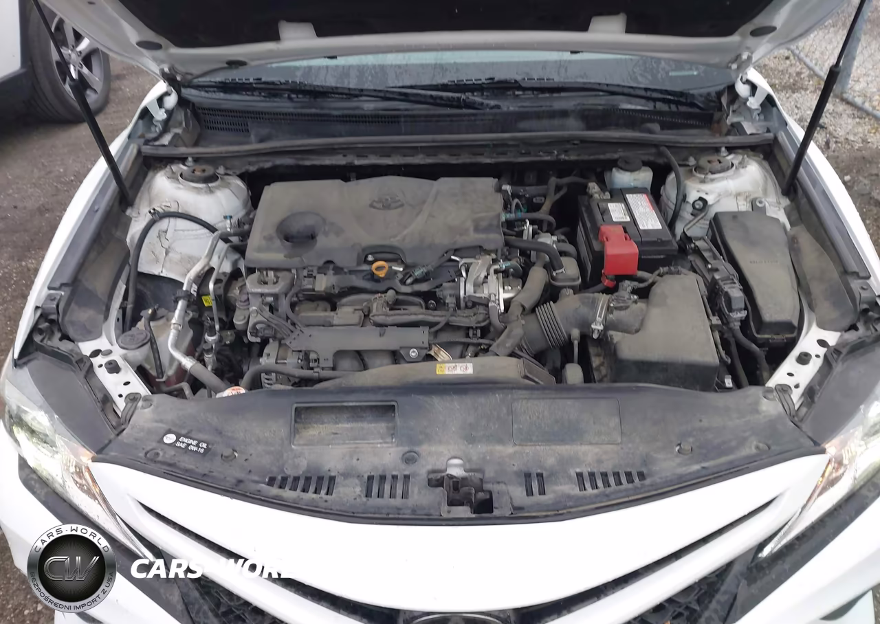 2019 Toyota Camry Se VIN:4T1B11HK7KU260291 - 10