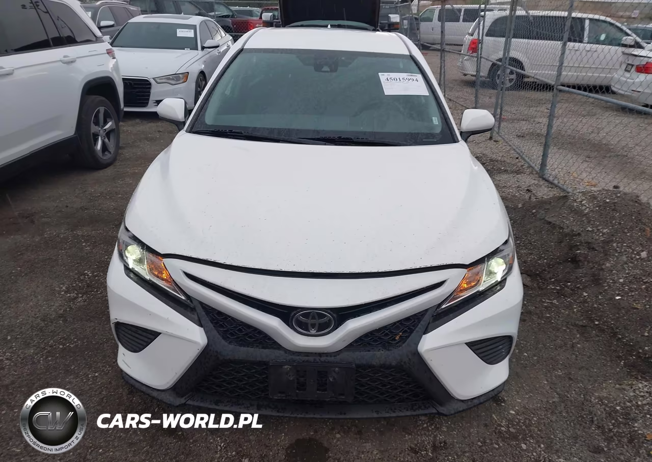 2019 Toyota Camry Se VIN:4T1B11HK7KU260291 - 12