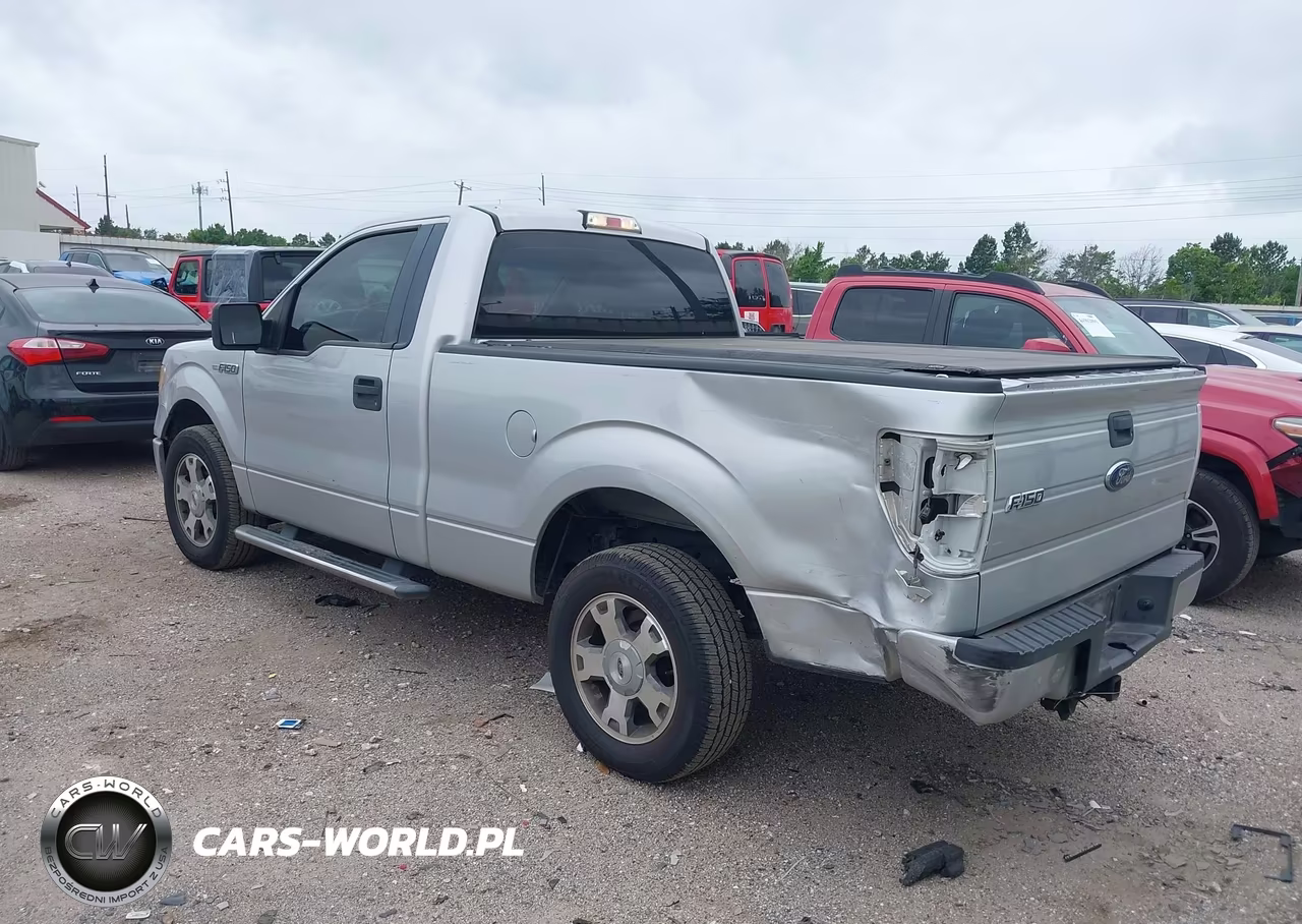 2009 Ford F-150 Stx-Xl-Xlt VIN:1FTRF12W59KB06393 - 3