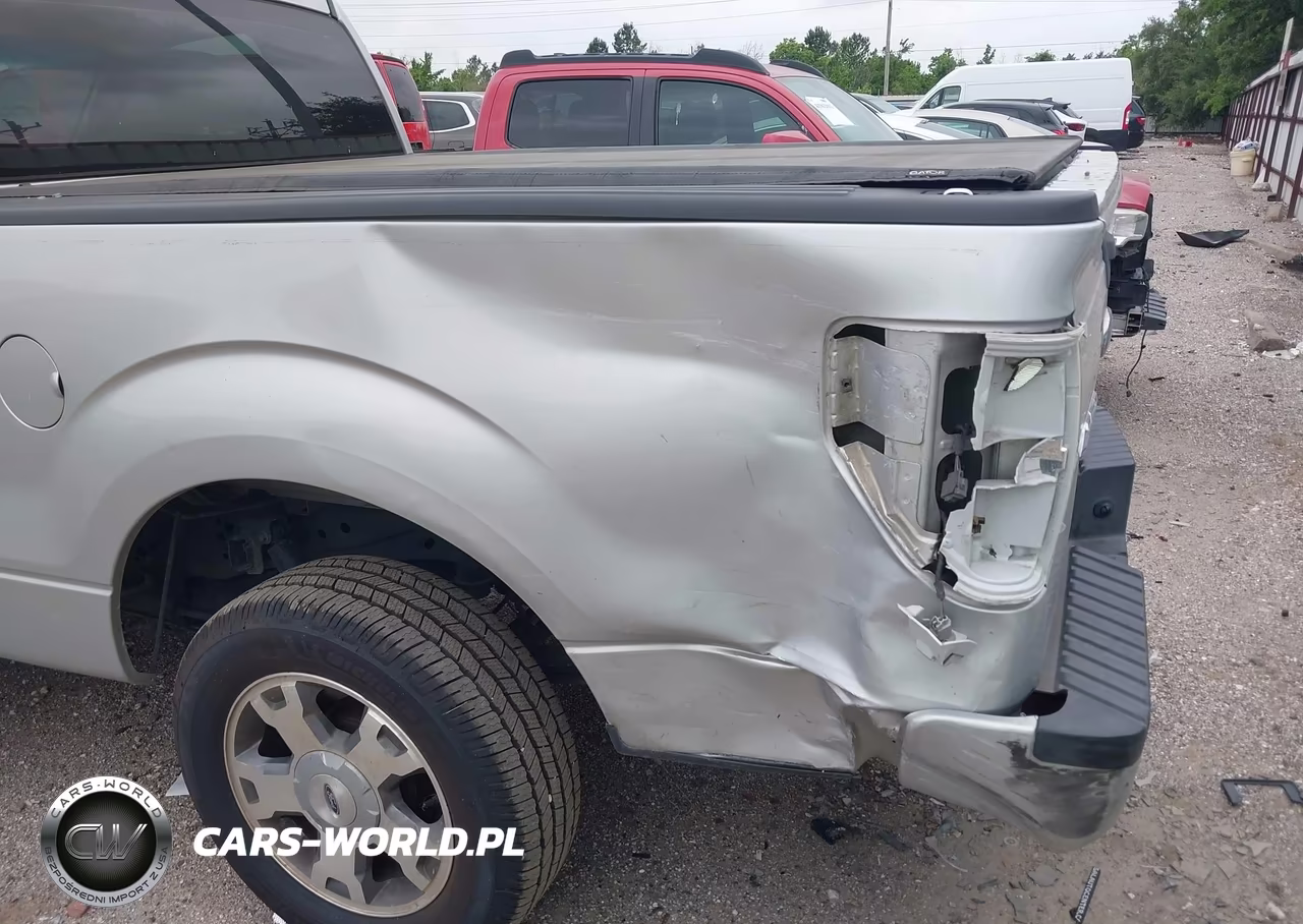 2009 Ford F-150 Stx-Xl-Xlt VIN:1FTRF12W59KB06393 - 6