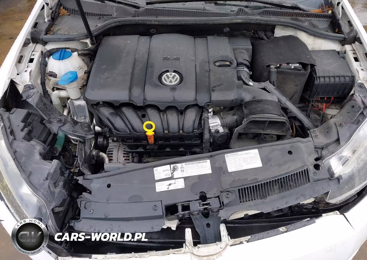 2012 Volkswagen Golf 2.5L 4-Door VIN:WVWDB7AJ9CW326098 - 10