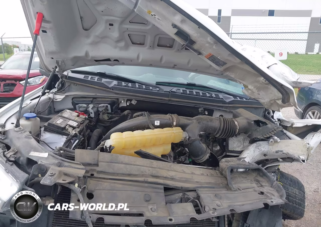 2019 Ford F-150 Xl VIN:1FTEW1CP7KKC09312 - 10