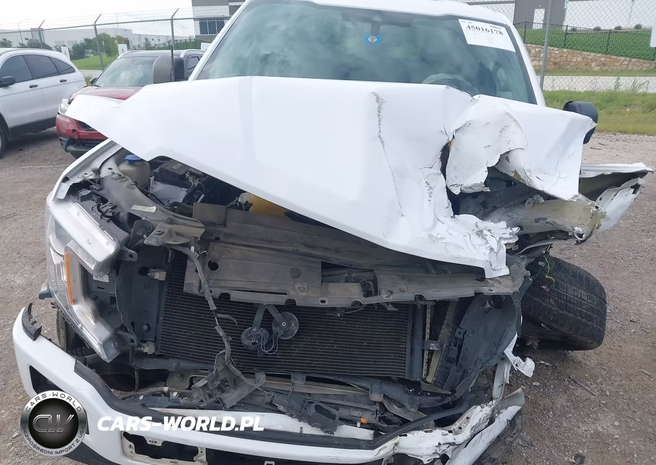 2019 Ford F-150 Xl VIN:1FTEW1CP7KKC09312 - 12