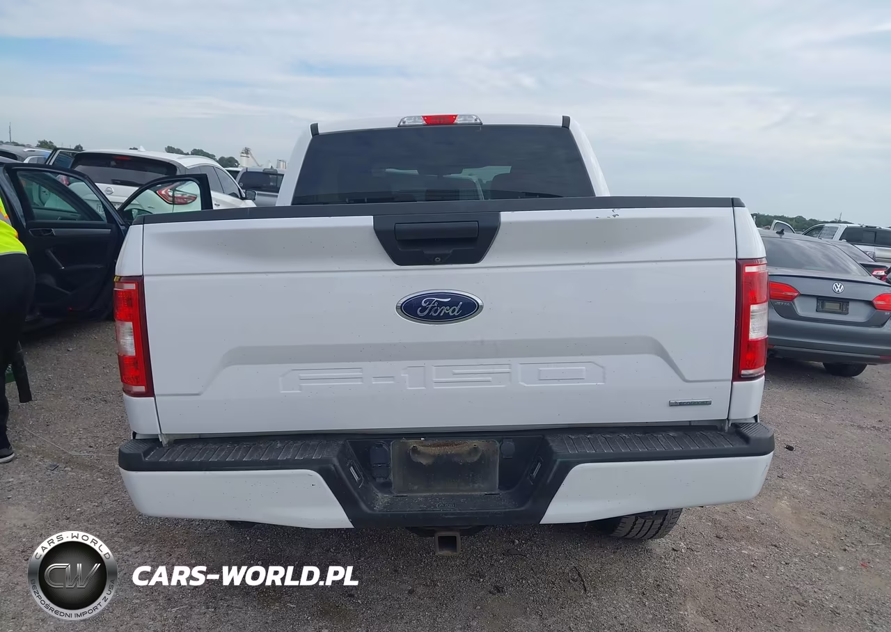 2019 Ford F-150 Xl VIN:1FTEW1CP7KKC09312 - 16