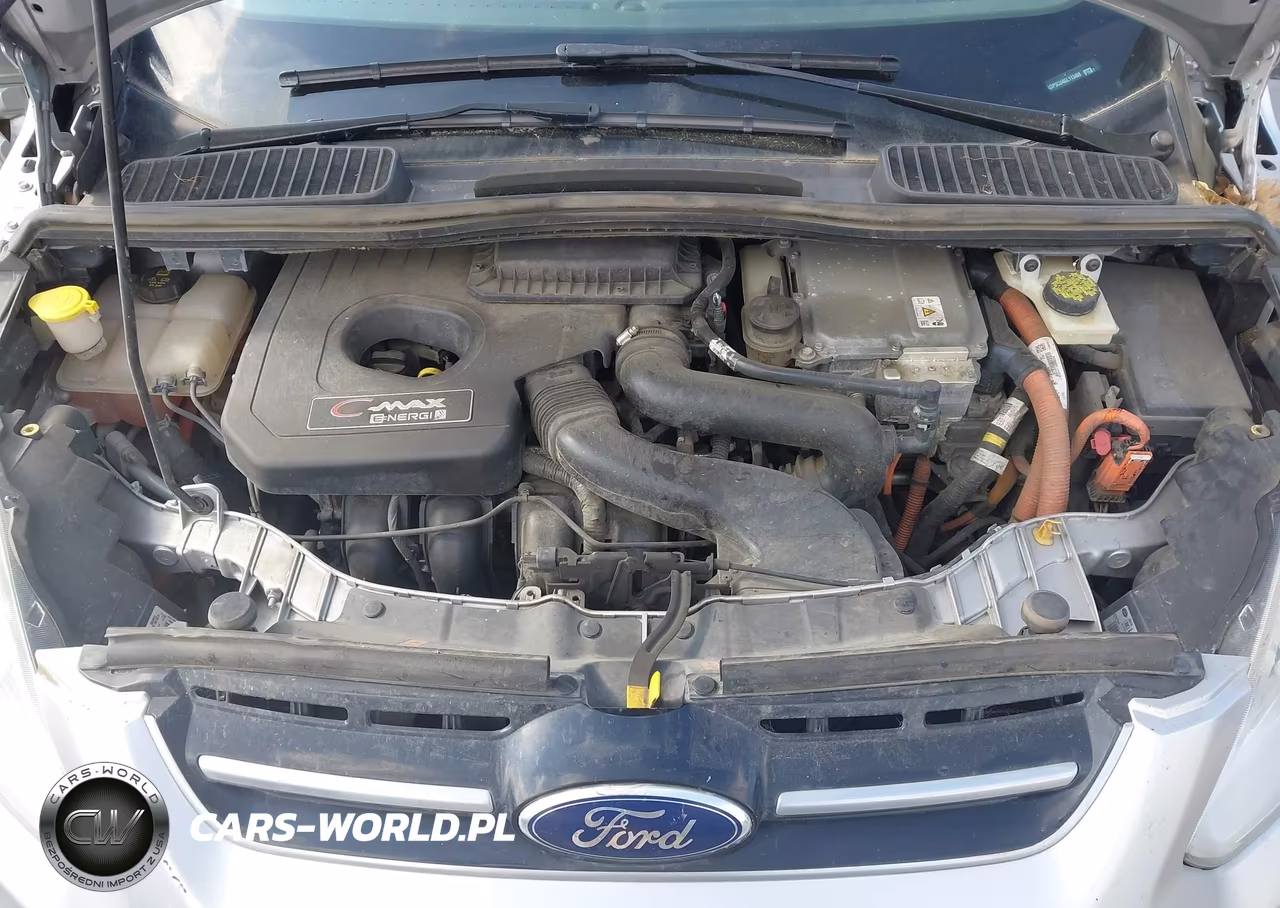 2016 Ford C-Max Energi Sel VIN:1FADP5CU4GL113408 - 10