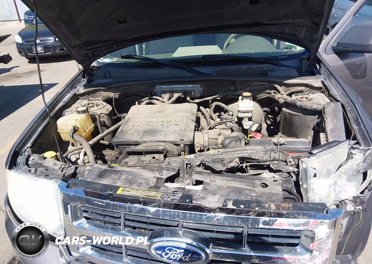 2010 Ford Escape Xlt VIN:1FMCU9DGXAKB77010 - 10