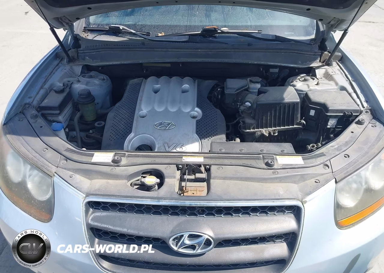 2007 Hyundai Santa Fe Gls VIN:5NMSG73D27H064708 - 10