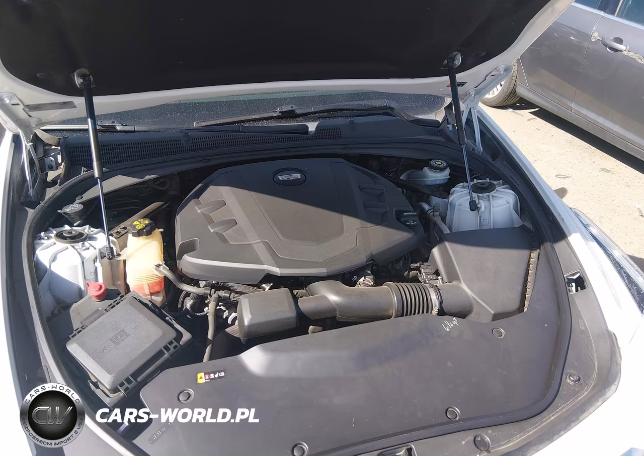 2019 Cadillac Cts Luxury VIN:1G6AX5SS6K0141530 - 10