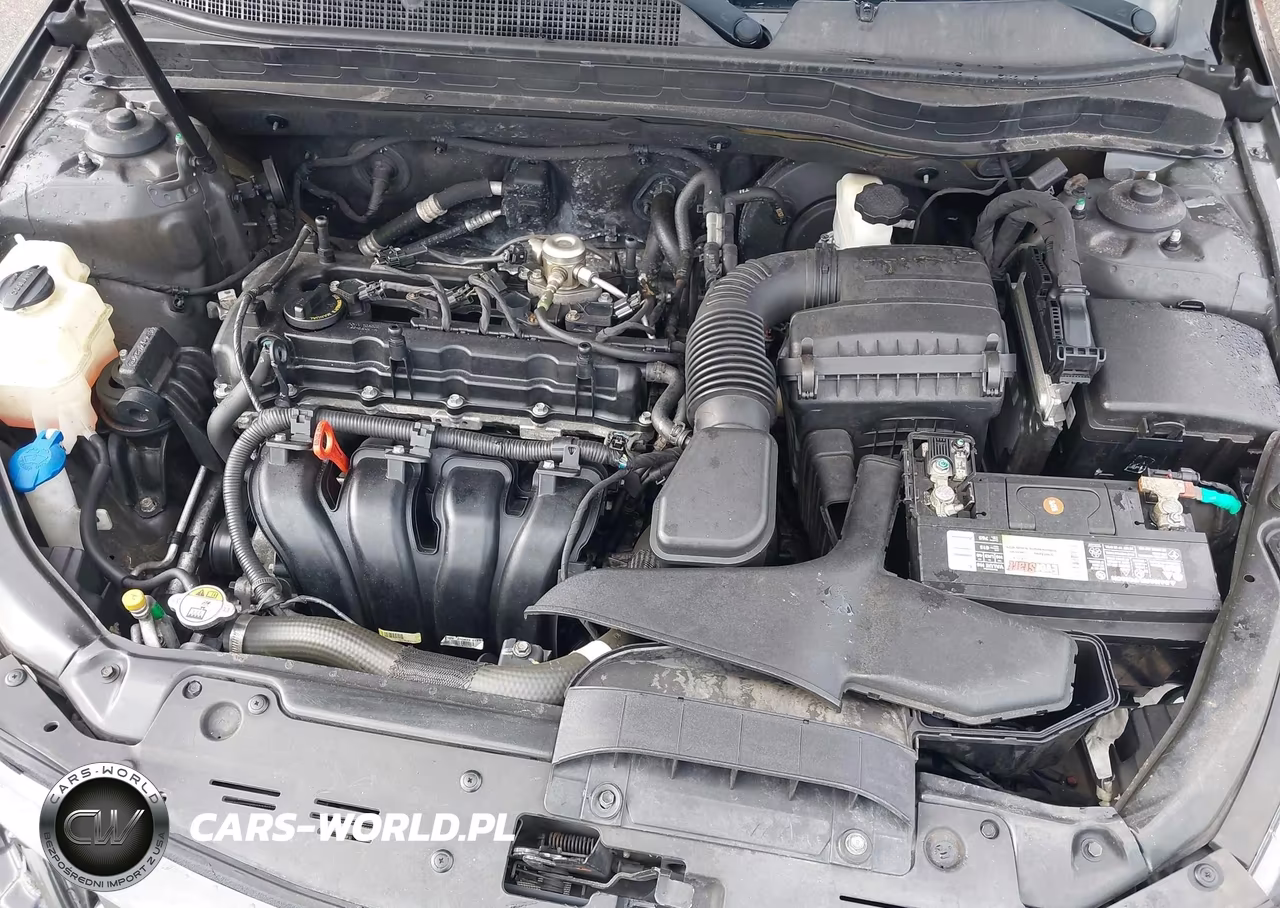 2015 Kia Optima Lx VIN:5XXGM4A79FG393462 - 10