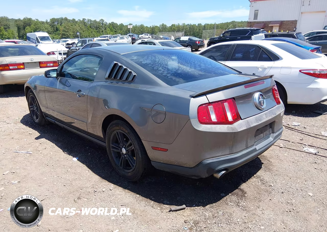 2011 Ford Mustang V6 VIN:1ZVBP8AM7B5153806 - 3