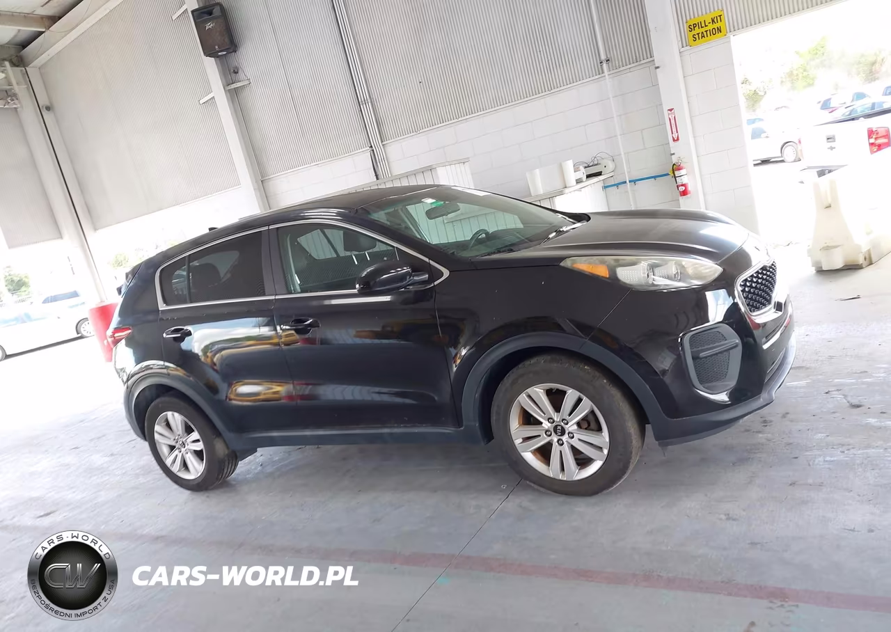 2017 Kia Sportage Lx VIN:KNDPM3ACXH7118220 - 13