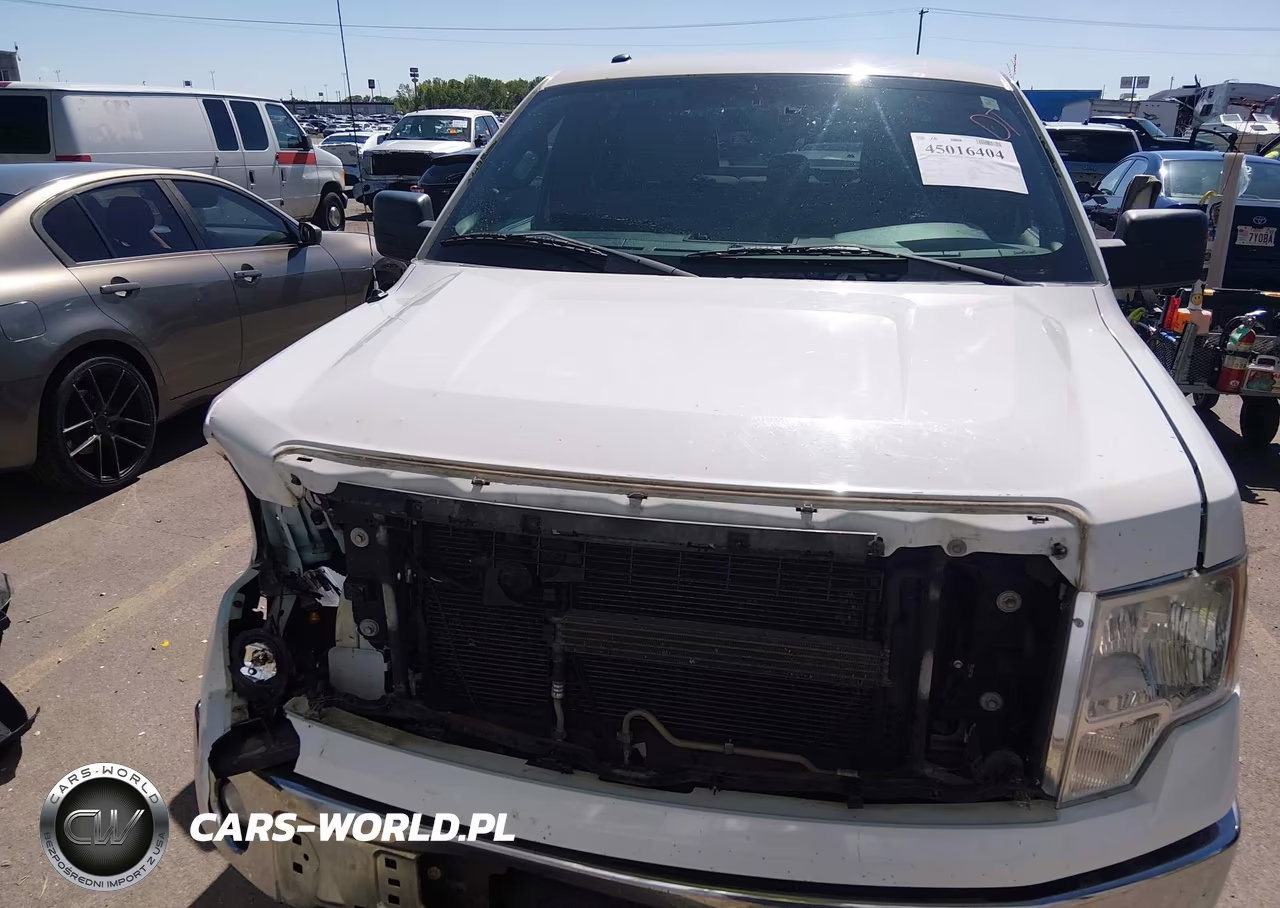 2013 Ford F-150 Xlt VIN:1FTFW1EF7DFC37373 - 12