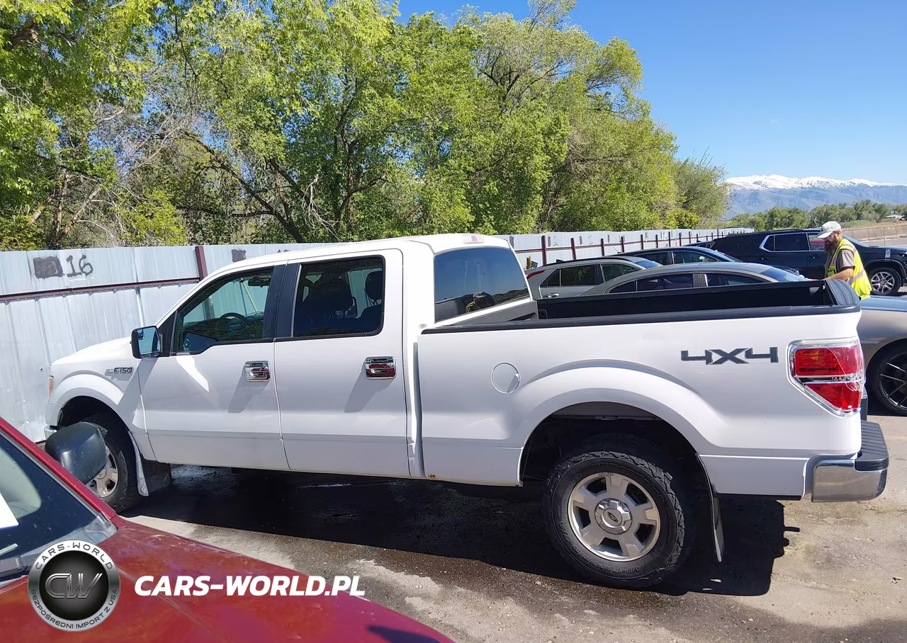 2013 Ford F-150 Xlt VIN:1FTFW1EF7DFC37373 - 14