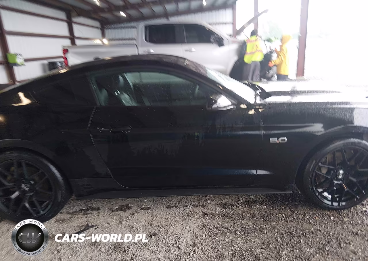 2017 Ford Mustang Gt Premium VIN:1FA6P8CF1H5339617 - 14