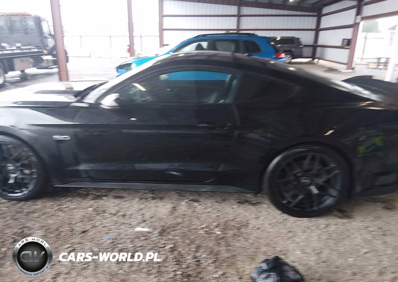2017 Ford Mustang Gt Premium VIN:1FA6P8CF1H5339617 - 15