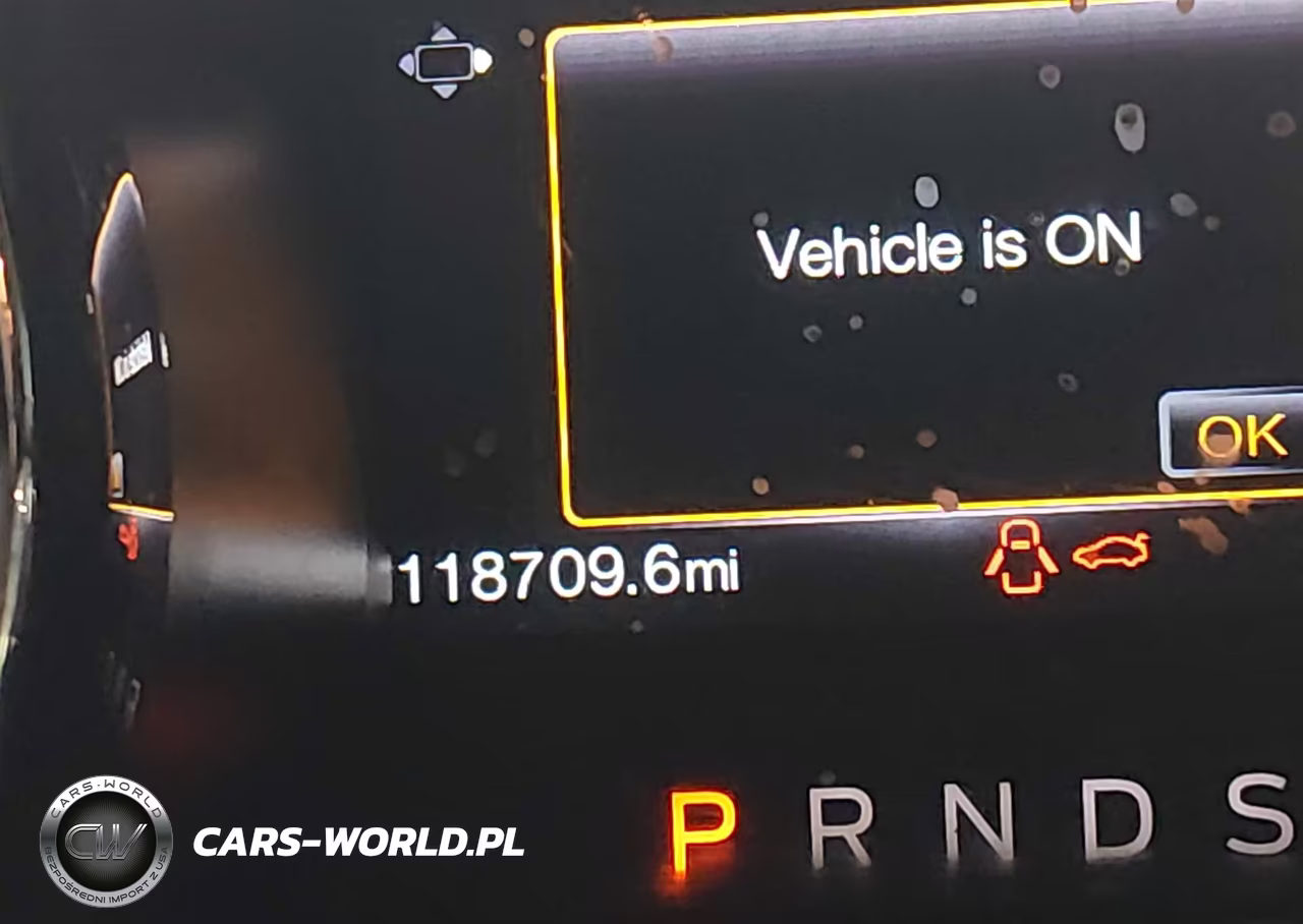 2017 Ford Mustang Gt Premium VIN:1FA6P8CF1H5339617 - 16