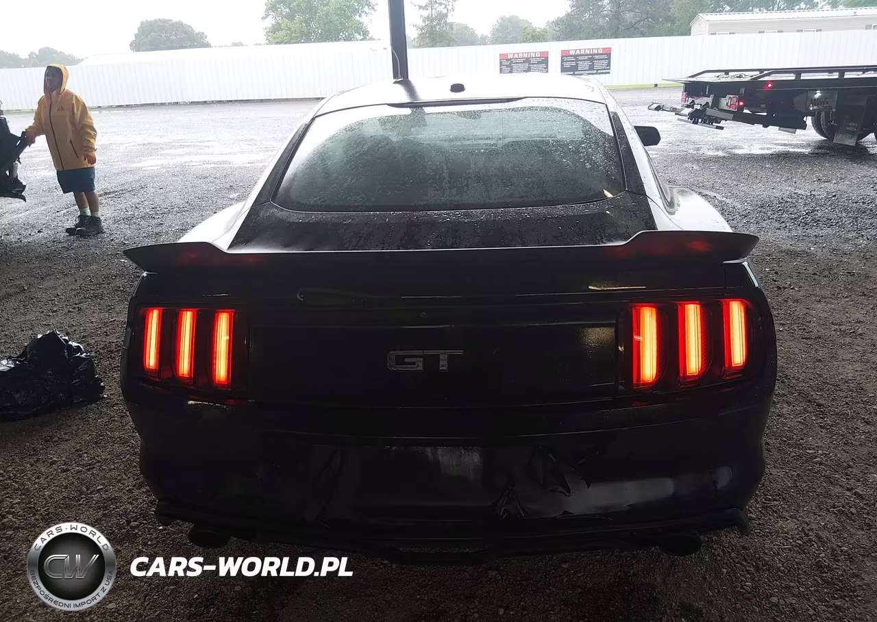 2017 Ford Mustang Gt Premium VIN:1FA6P8CF1H5339617 - 17