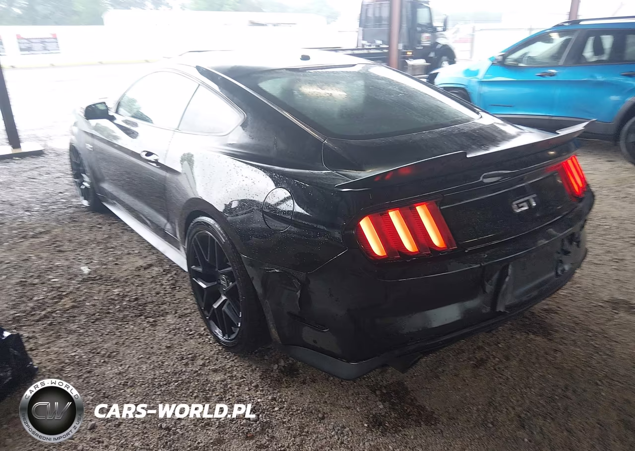 2017 Ford Mustang Gt Premium VIN:1FA6P8CF1H5339617 - 3
