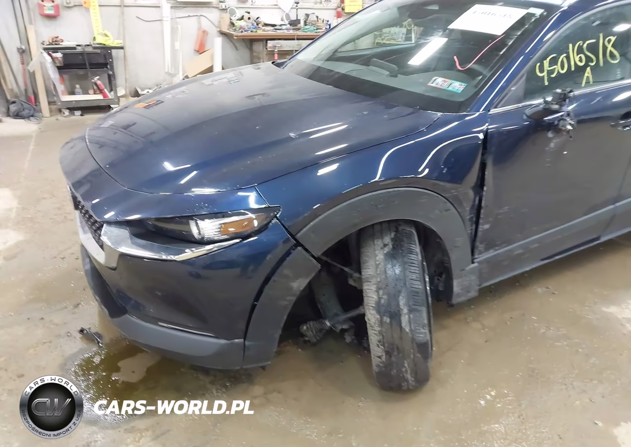 2025 Mazda Cx-30 2.5 S Select Sport VIN:3MVDMBBM7SM786282 - 17