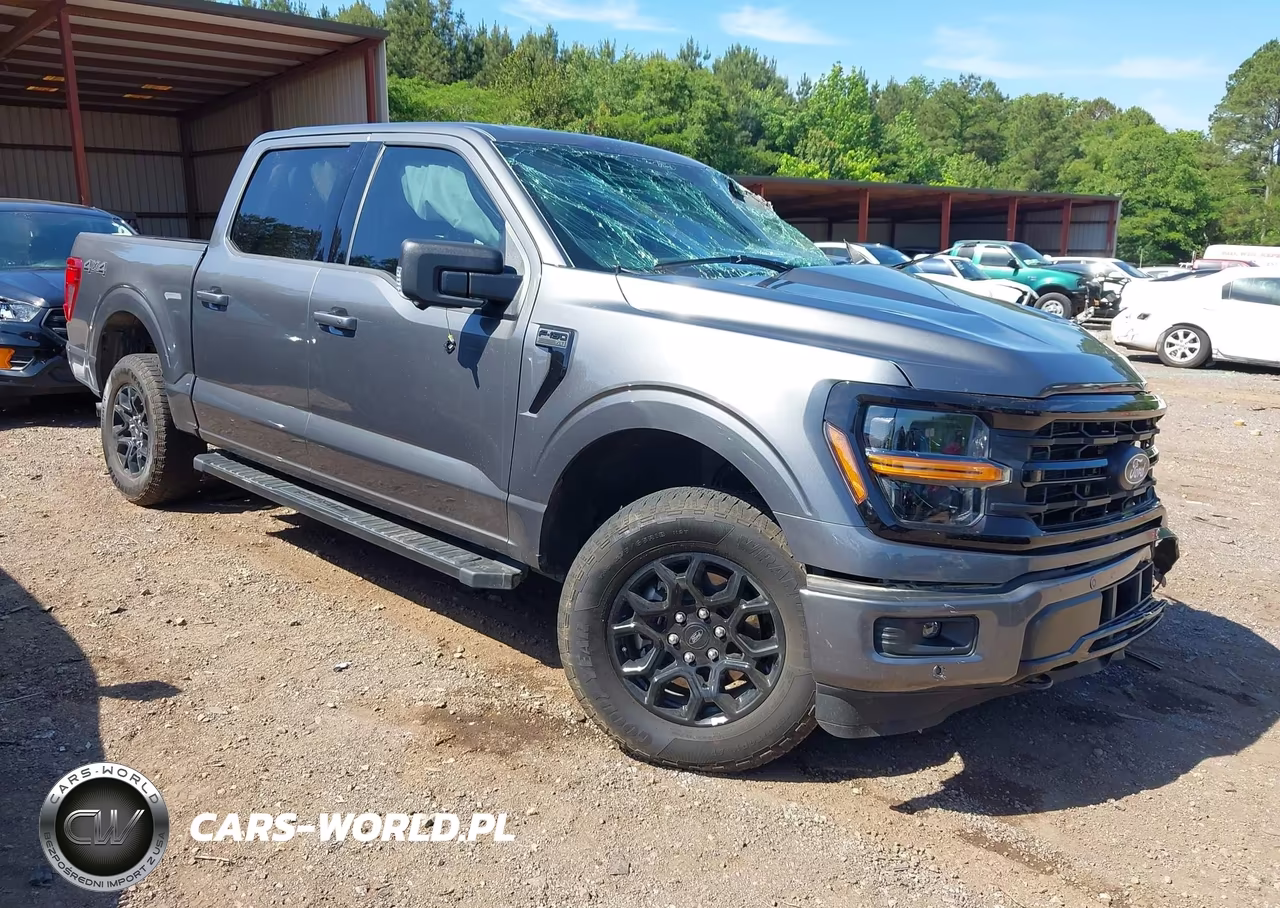 2025 Ford F-150 Xlt – zdjęcie 1 z 17