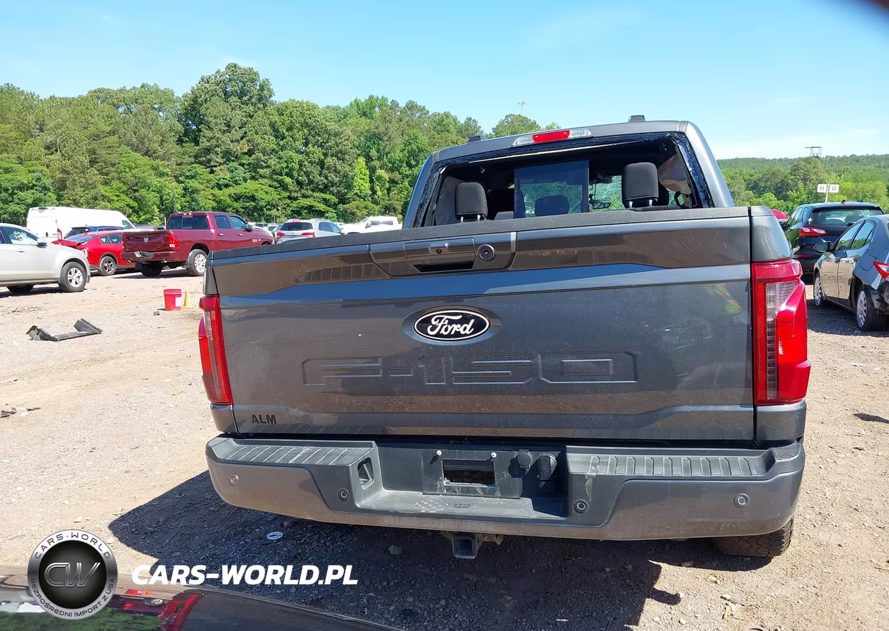 2025 Ford F-150 Xlt VIN:1FTEW3LP9SFC10367 - 17