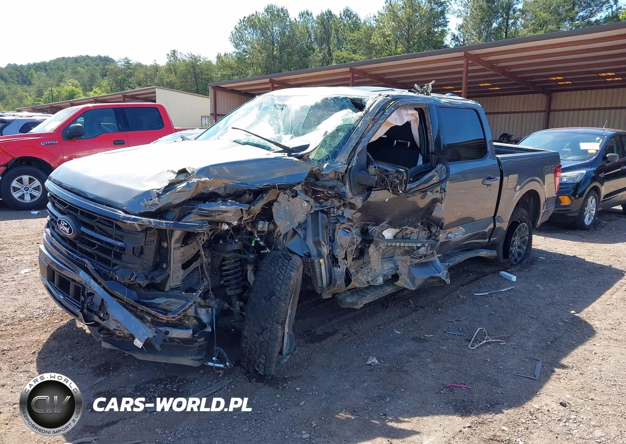2025 Ford F-150 Xlt VIN:1FTEW3LP9SFC10367 - 2