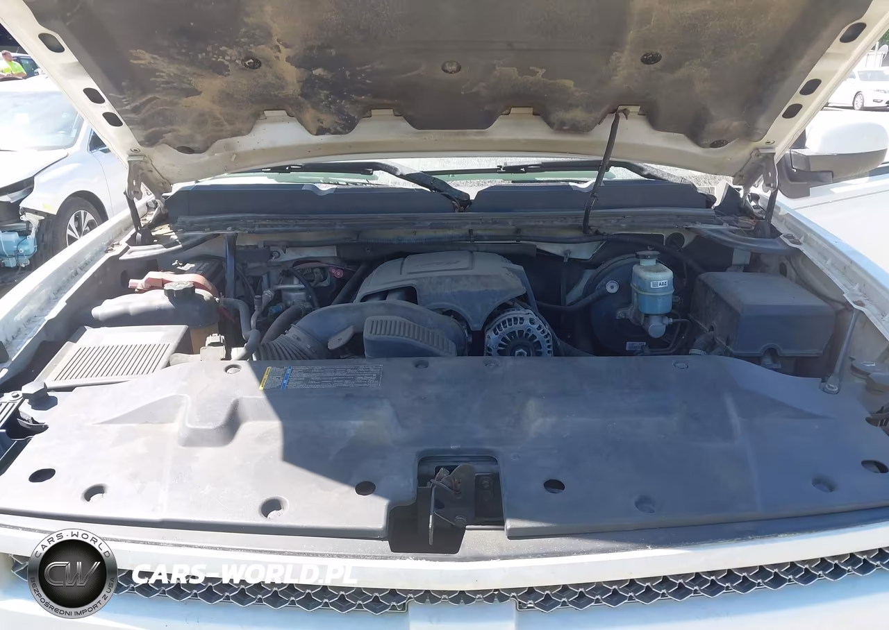 2009 Chevrolet Silverado 1500 Lt VIN:1GCEK29J39Z226680 - 10