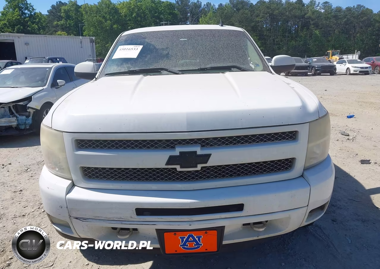 2009 Chevrolet Silverado 1500 Lt VIN:1GCEK29J39Z226680 - 12