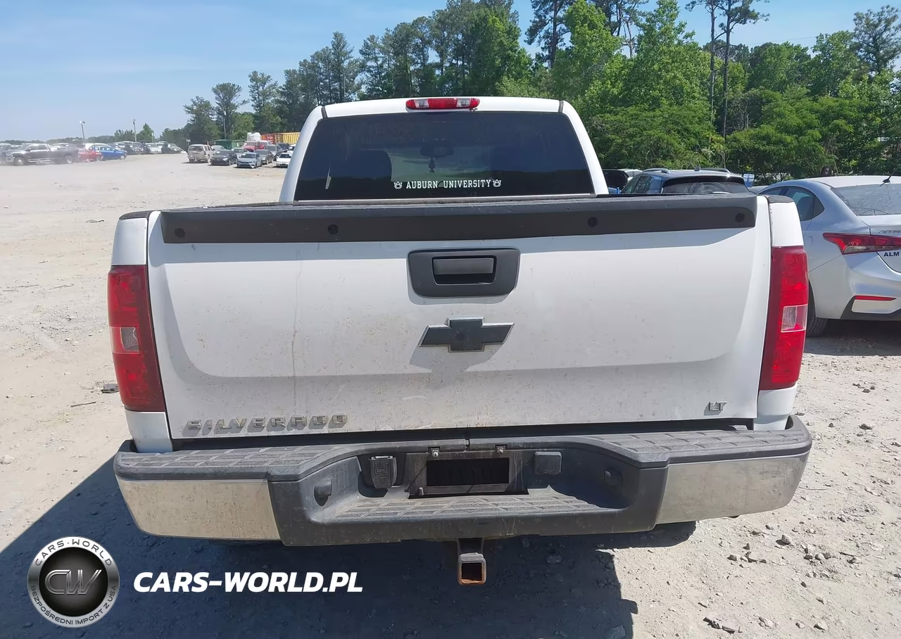 2009 Chevrolet Silverado 1500 Lt VIN:1GCEK29J39Z226680 - 16