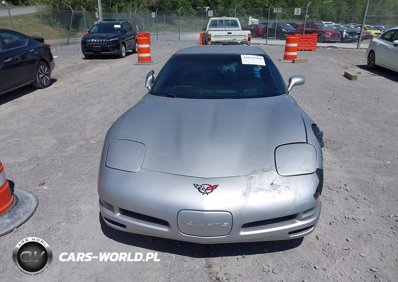2004 Chevrolet Corvette VIN:1G1YY22G945107891 - 12