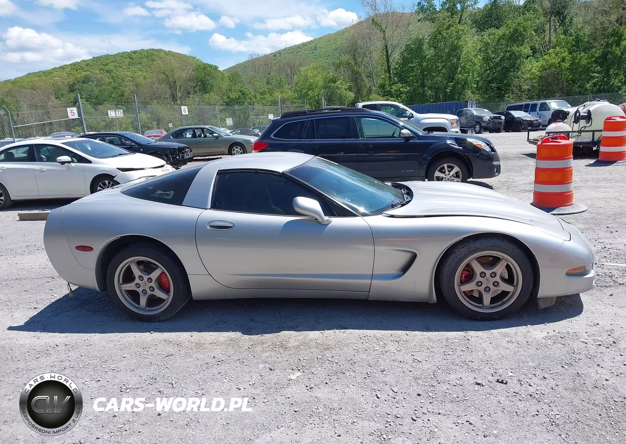 2004 Chevrolet Corvette VIN:1G1YY22G945107891 - 13