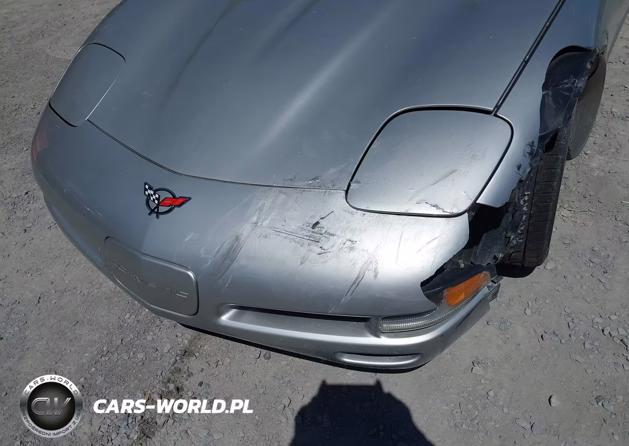 2004 Chevrolet Corvette VIN:1G1YY22G945107891 - 19