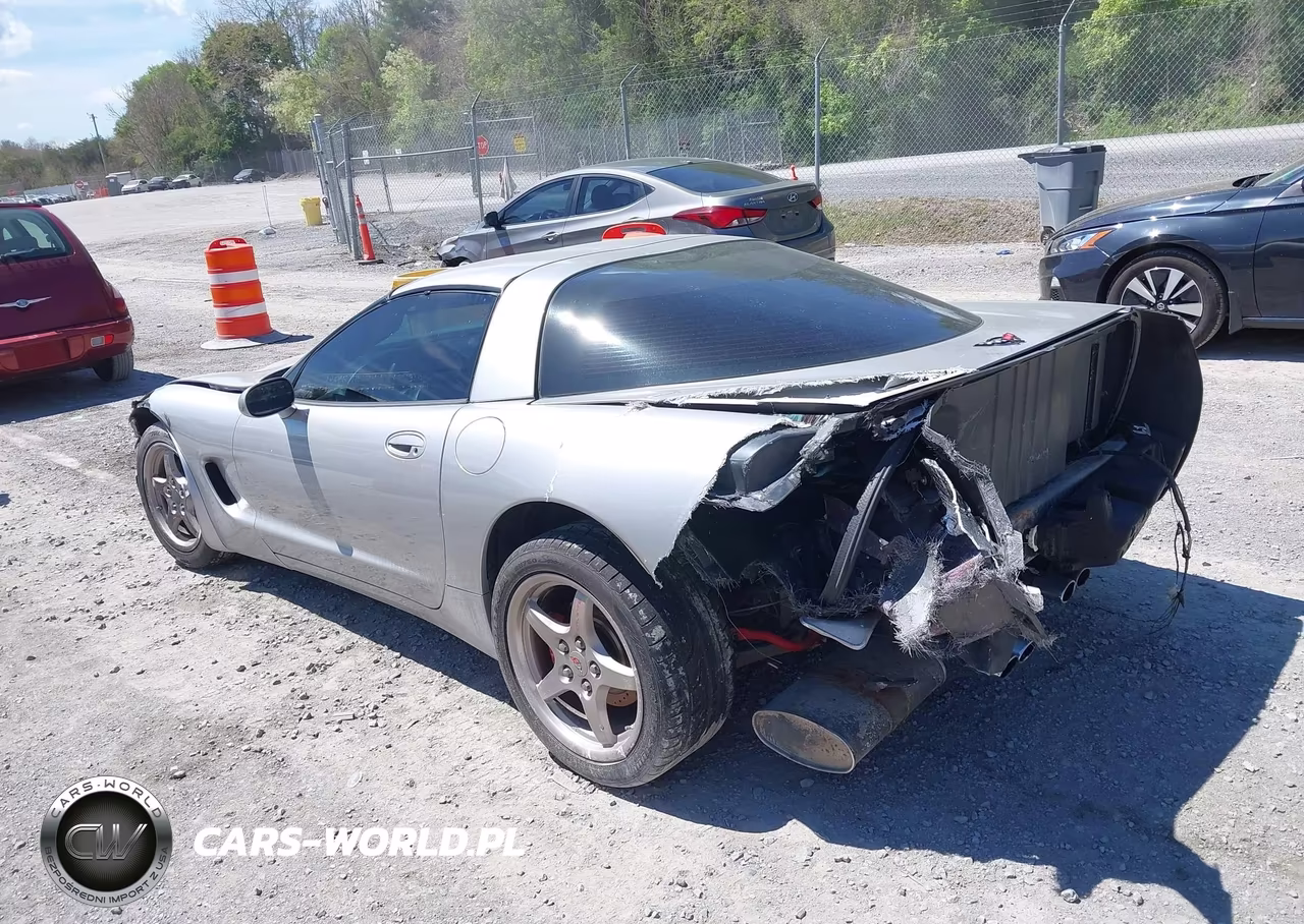 2004 Chevrolet Corvette VIN:1G1YY22G945107891 - 3