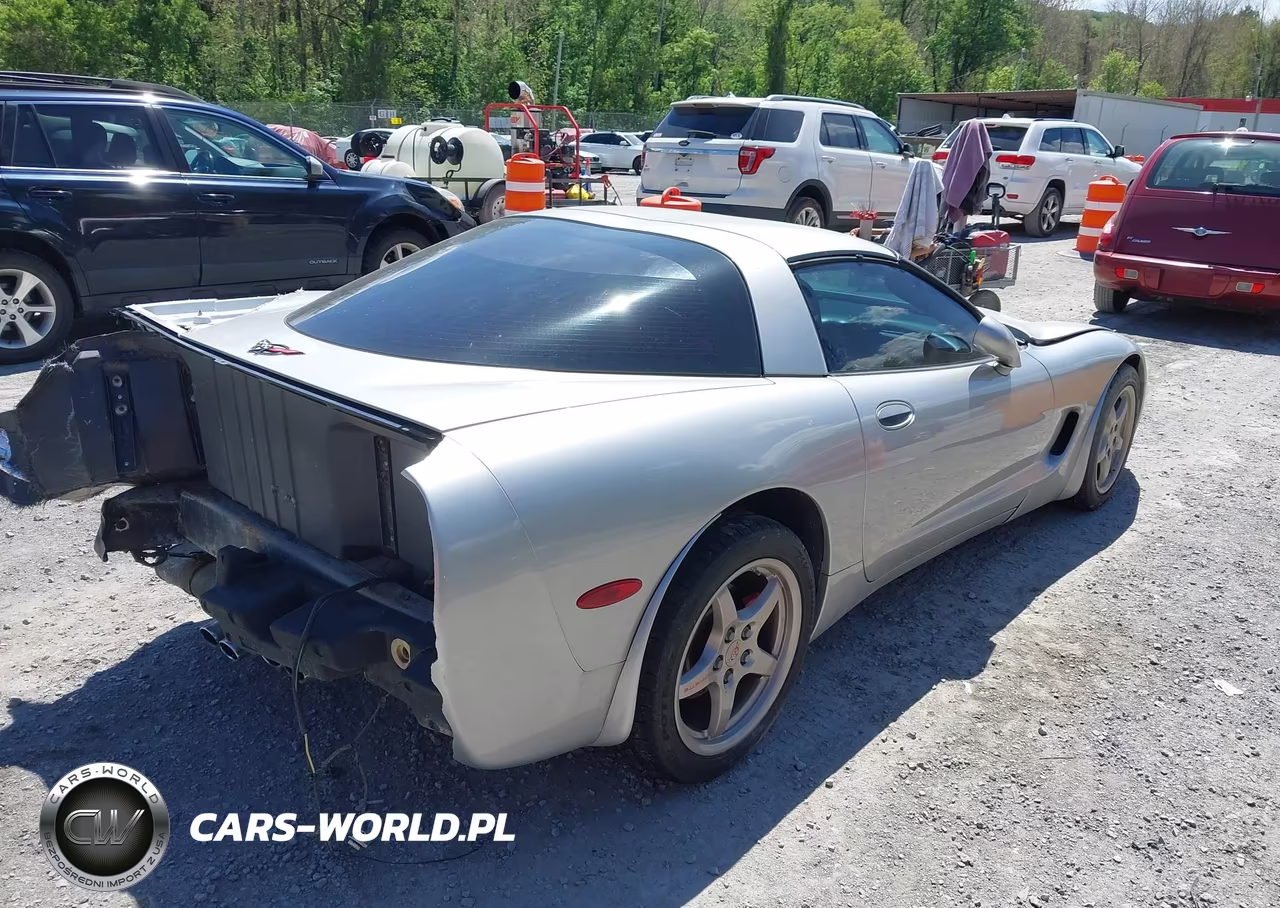 2004 Chevrolet Corvette VIN:1G1YY22G945107891 - 4