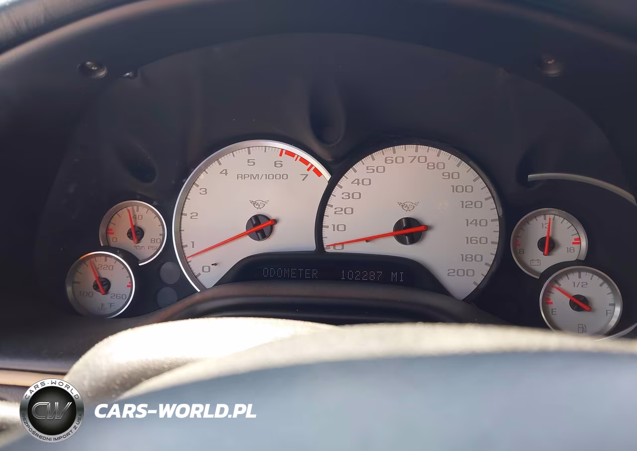 2004 Chevrolet Corvette VIN:1G1YY22G945107891 - 7