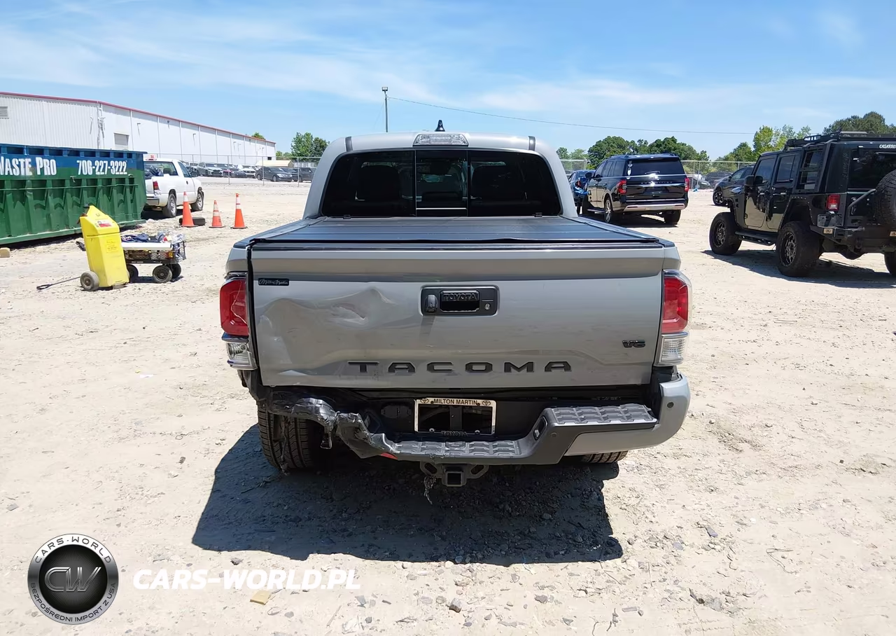 2020 Toyota Tacoma Trd Sport VIN:3TMCZ5AN5LM316909 - 17