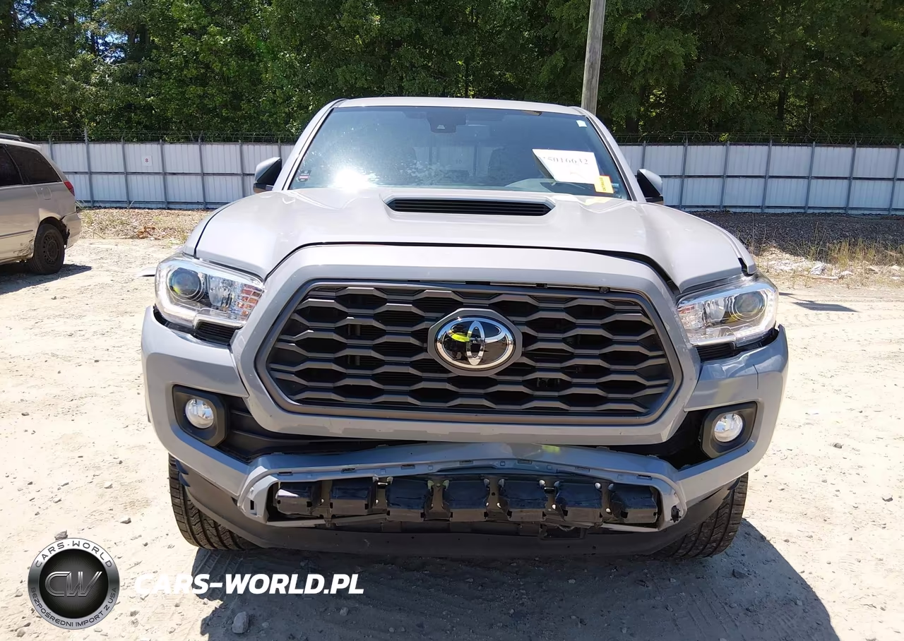 2020 Toyota Tacoma Trd Sport VIN:3TMCZ5AN5LM316909 - 6