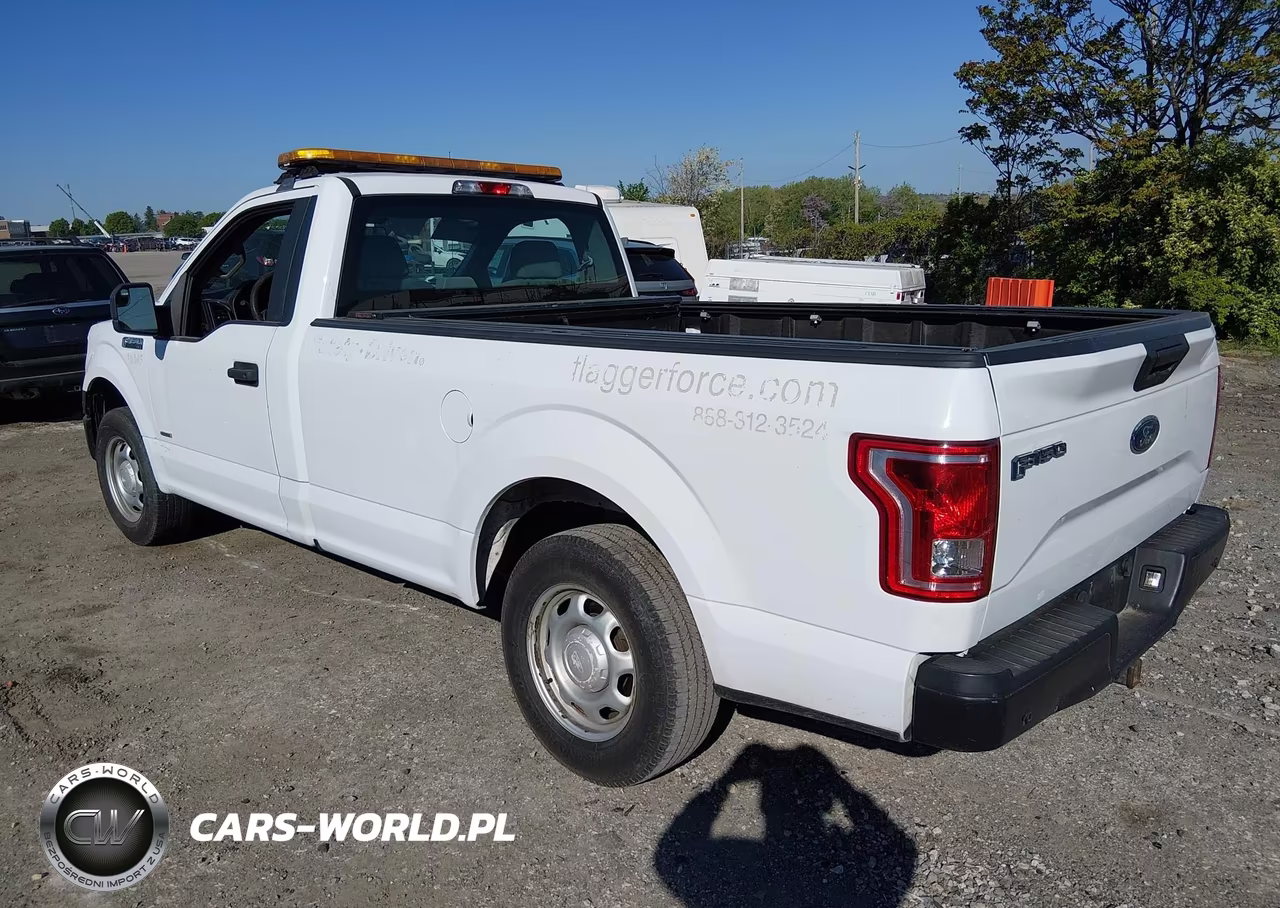 2016 Ford F-150 Xl-Xlt VIN:1FTMF1CP6GKE78422 - 3