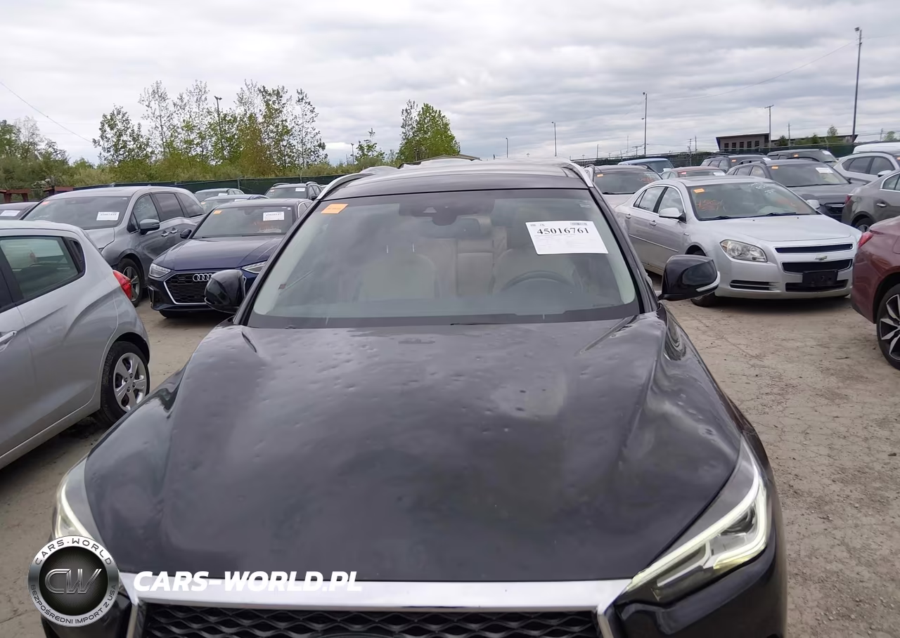 2019 Infiniti Qx50 Essential-Luxe-Pure VIN:3PCAJ5M32KF131616 - 6