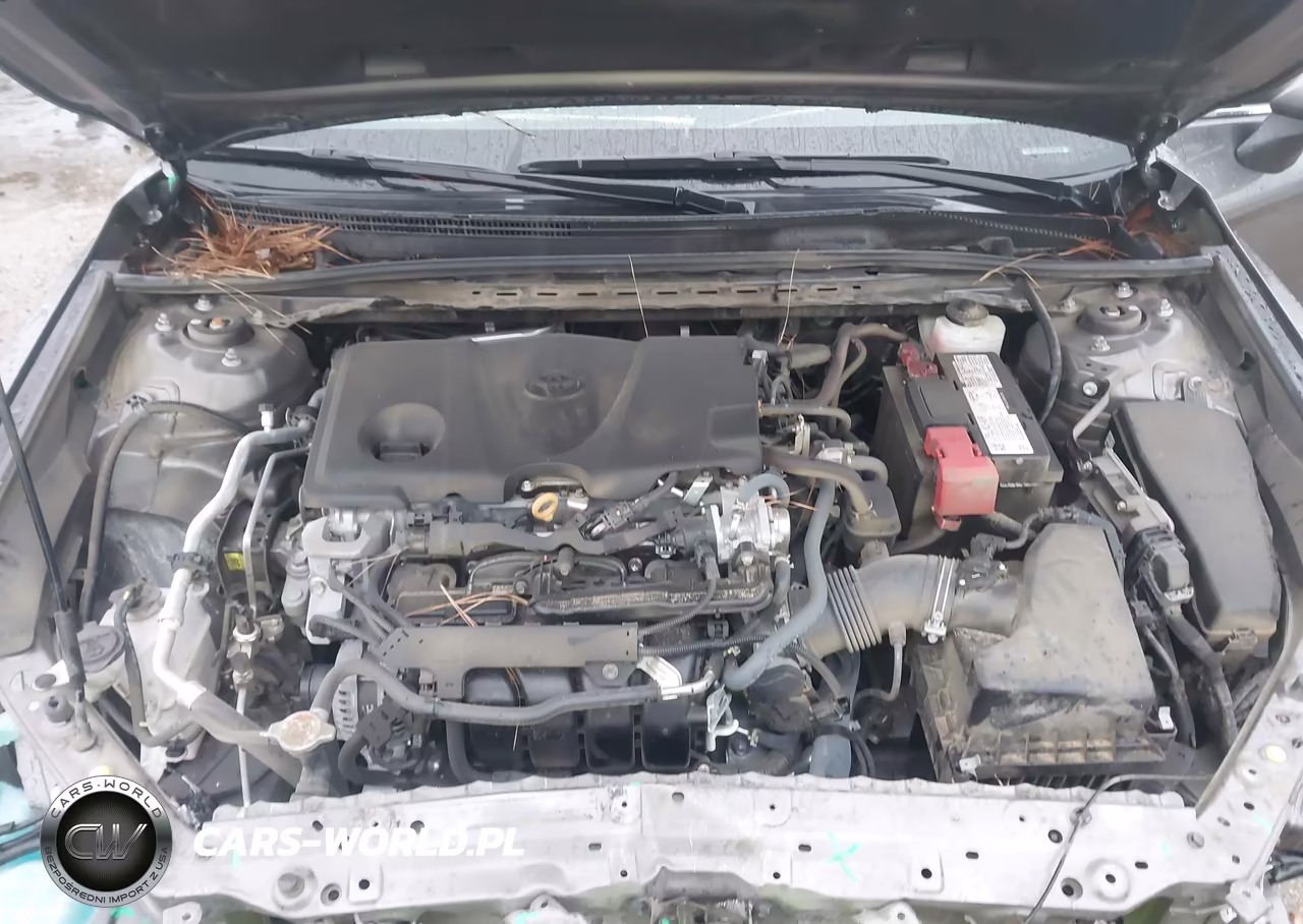 2024 Toyota Camry Le VIN:4T1C11AK8RU881645 - 10