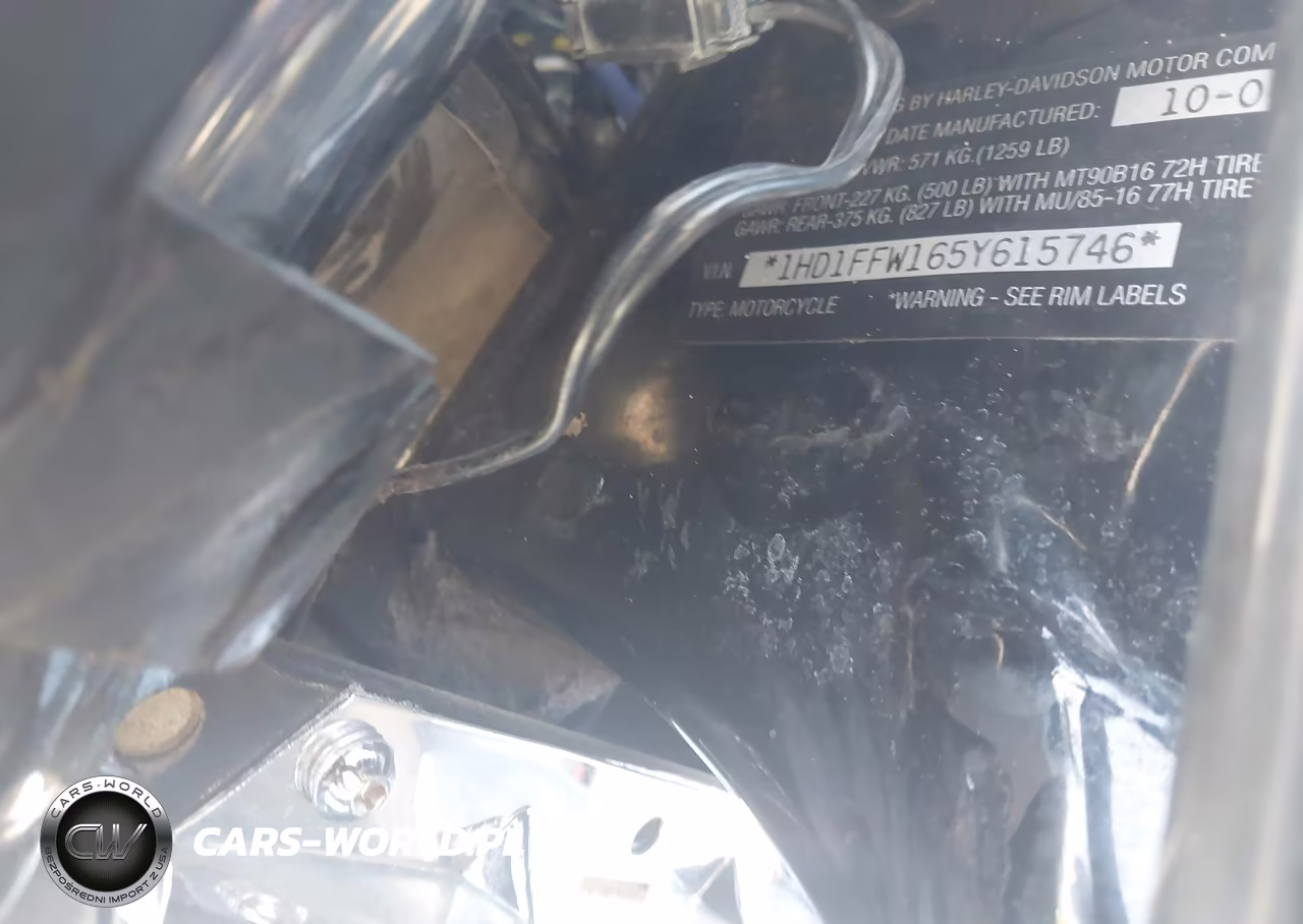 2005 Harley-Davidson Flhtci VIN:1HD1FFW165Y615746 - 10
