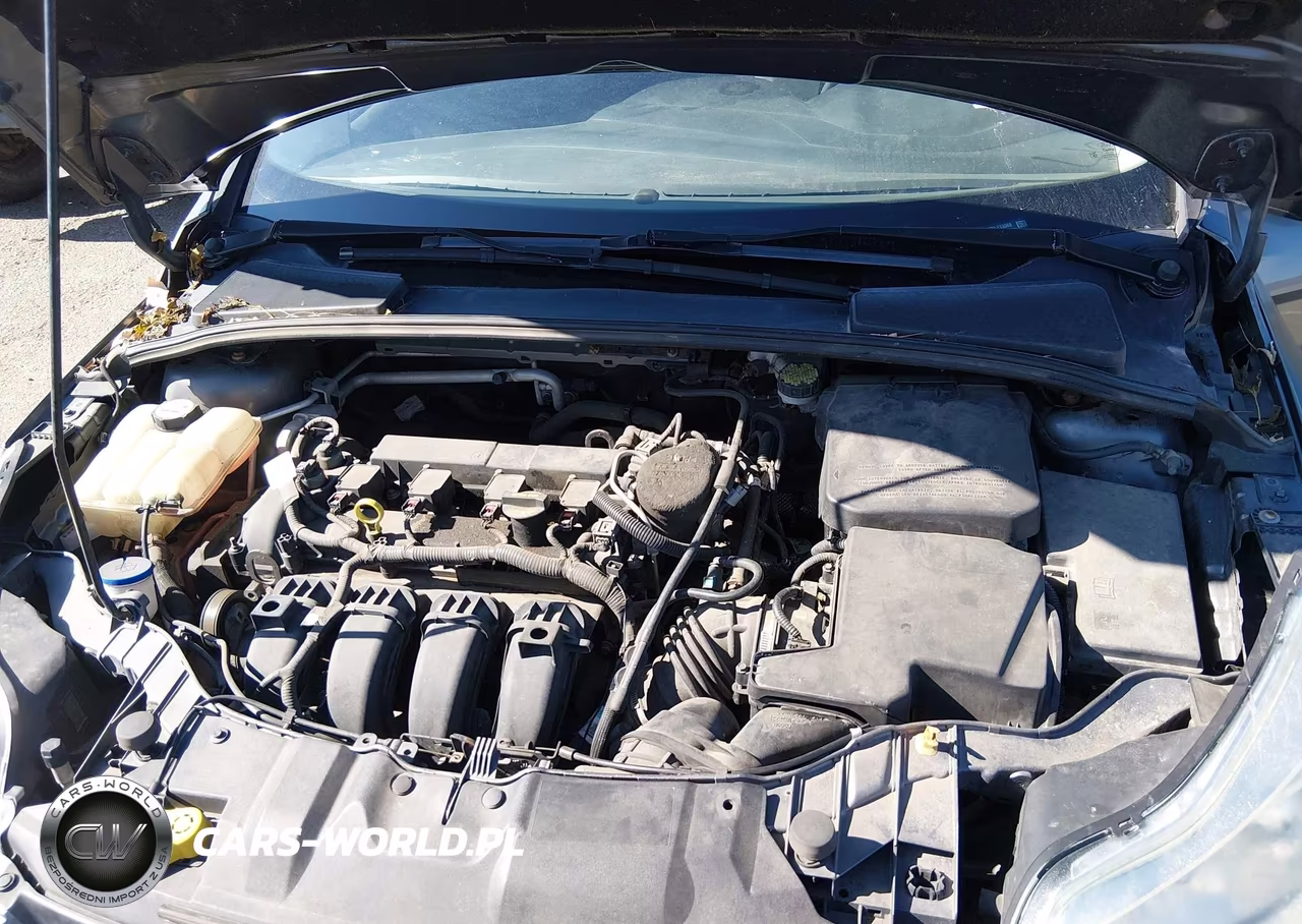 2013 Ford Focus Se VIN:1FADP3K27DL113368 - 10