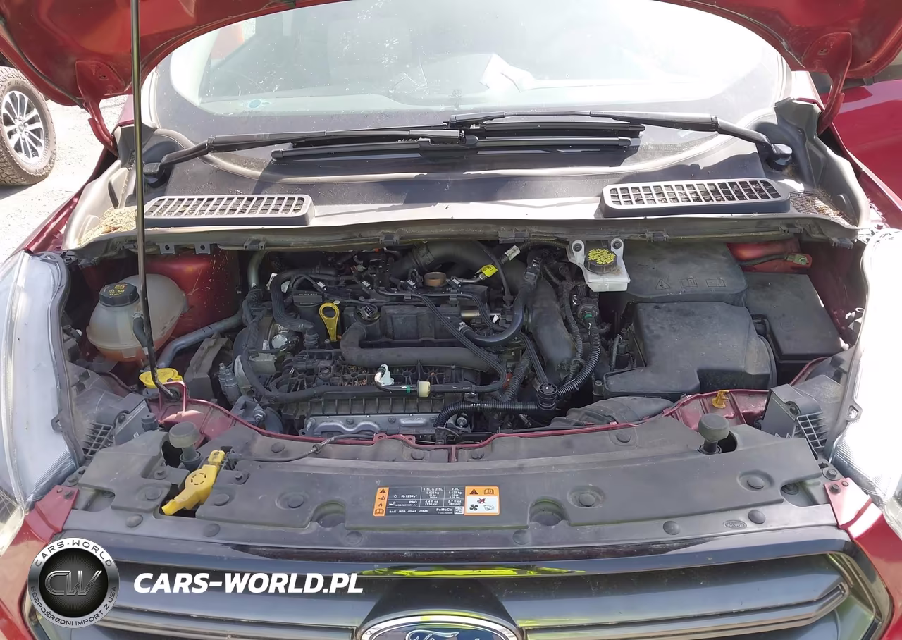 2019 Ford Escape Sel VIN:1FMCU9HD0KUA23881 - 10