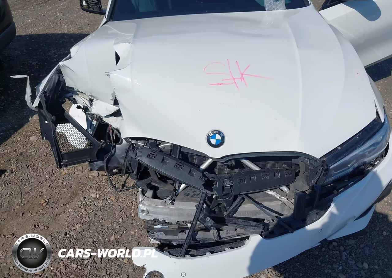 2020 BMW 330I VIN:3MW5R1J09L8B33444 - 10