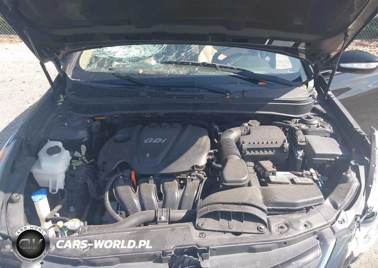 2014 Hyundai Sonata Gls VIN:5NPEB4AC3EH947320 - 10