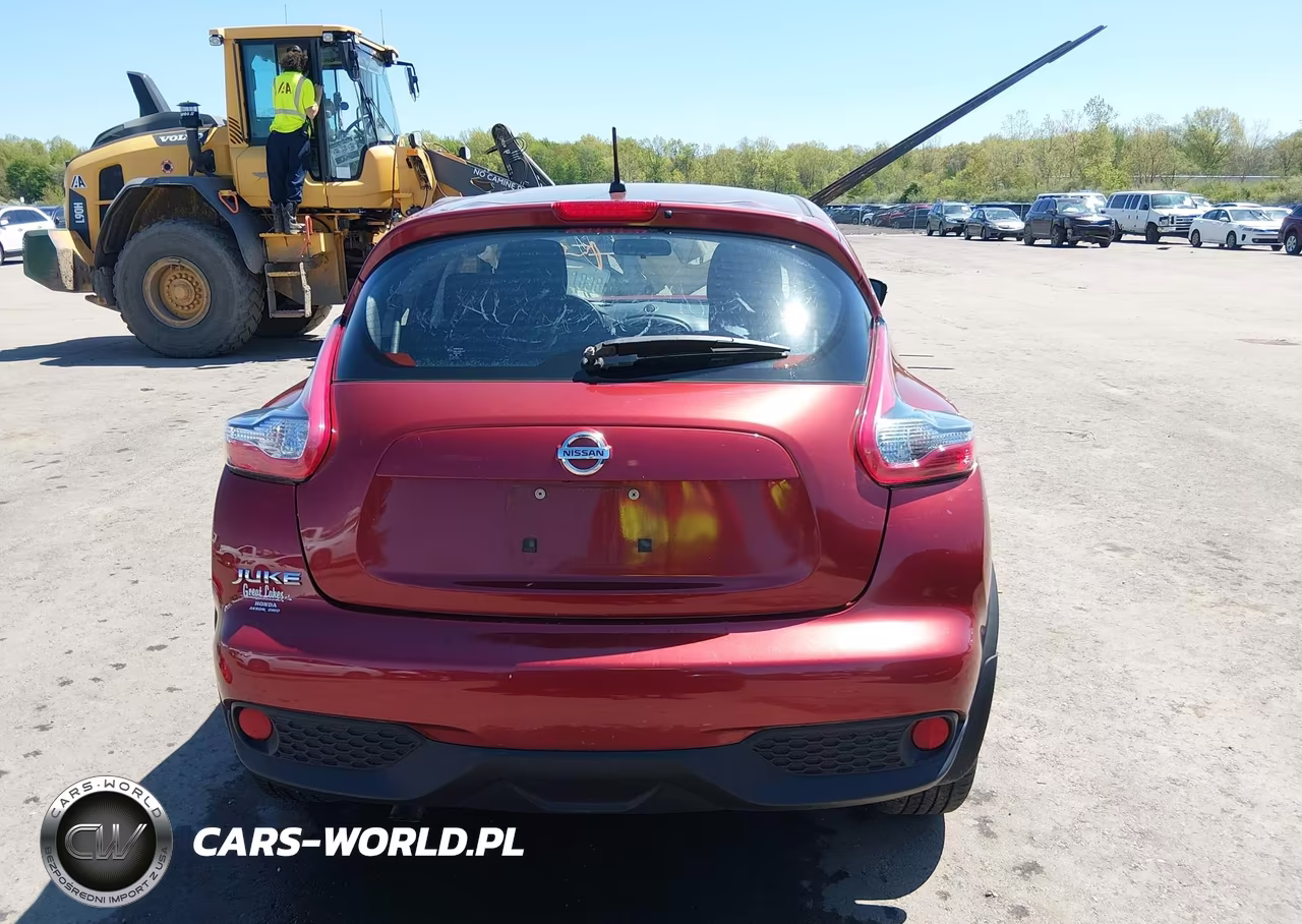 2015 Nissan Juke Nismo-S-Sl-Sv VIN:JN8AF5MR3FT504773 - 17