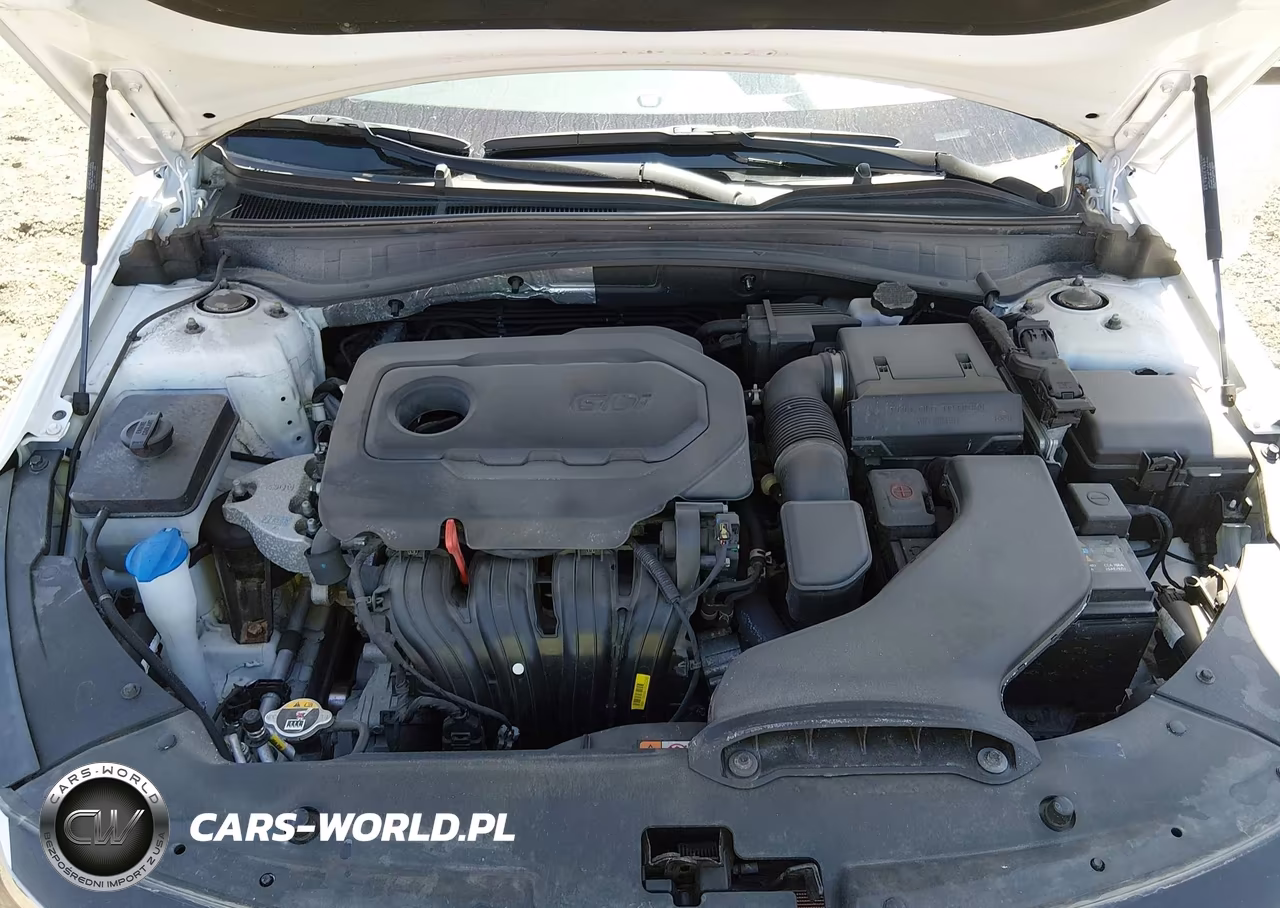 2019 Kia Optima Lx VIN:5XXGT4L35KG335890 - 10