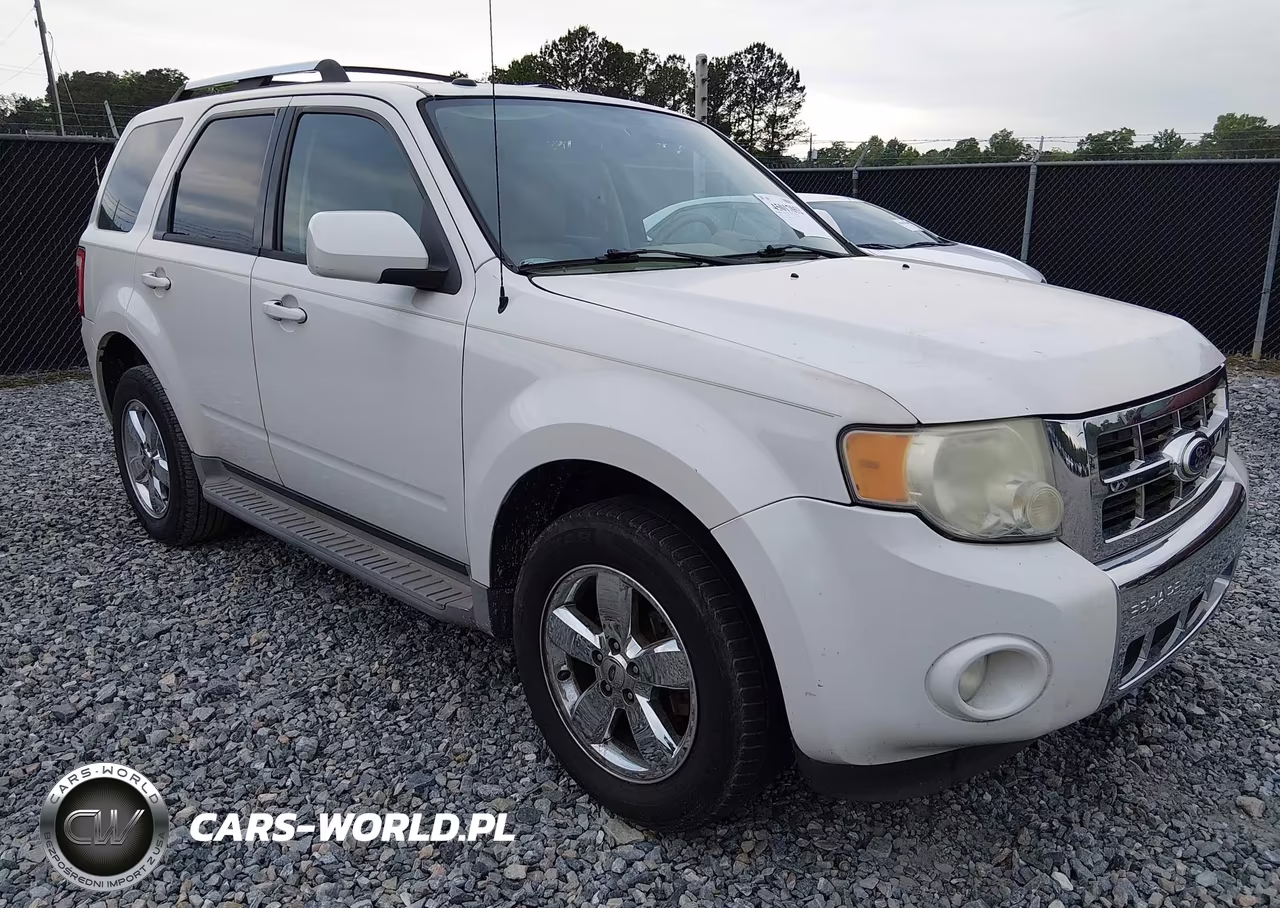 2010 Ford Escape Limited