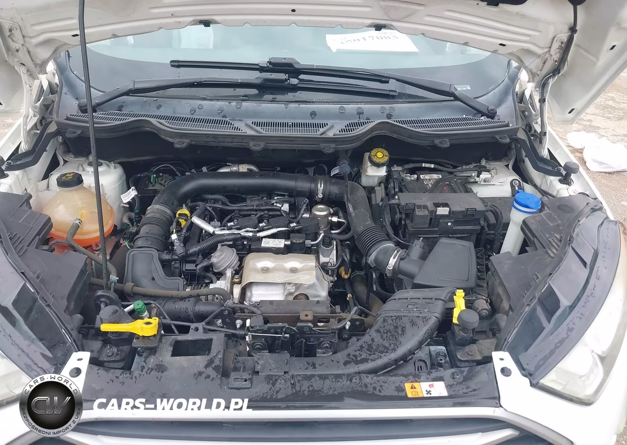 2019 Ford Ecosport Se VIN:MAJ3S2GEXKC273250 - 10